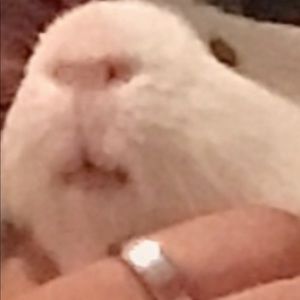 Meet your Posher, Jeffery